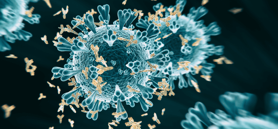 Coronavirus: Open As Usual