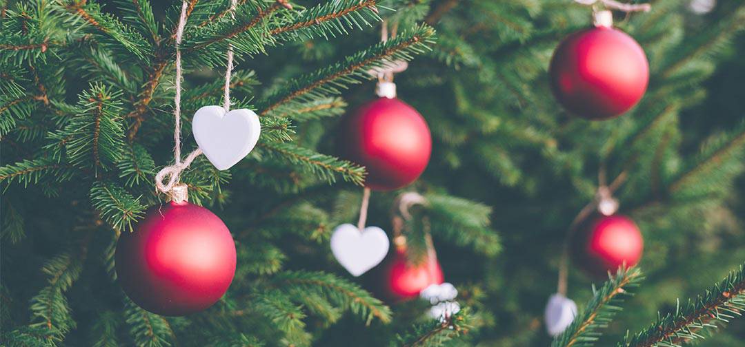 Bleyer’s Christmas Opening Times 2021