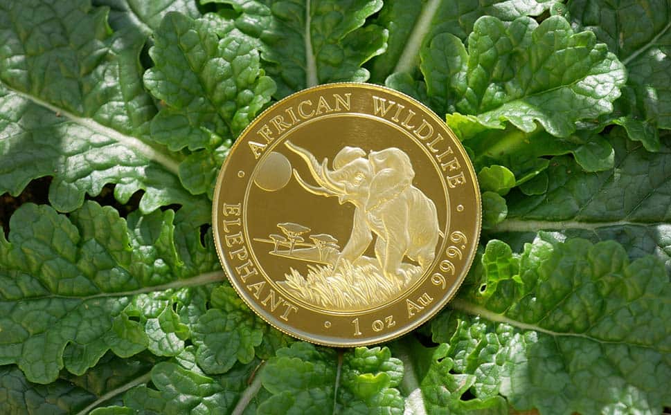 How Will My Grandchildren Benefit From My Gold Bullion Investment?