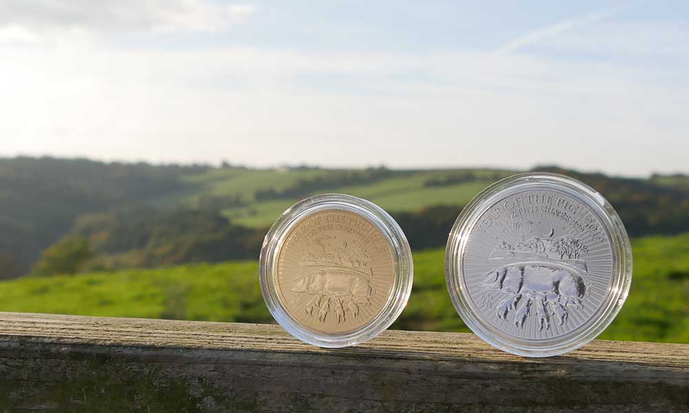 Top 7 reasons for buying gold and silver, investment bars and coins in 2022