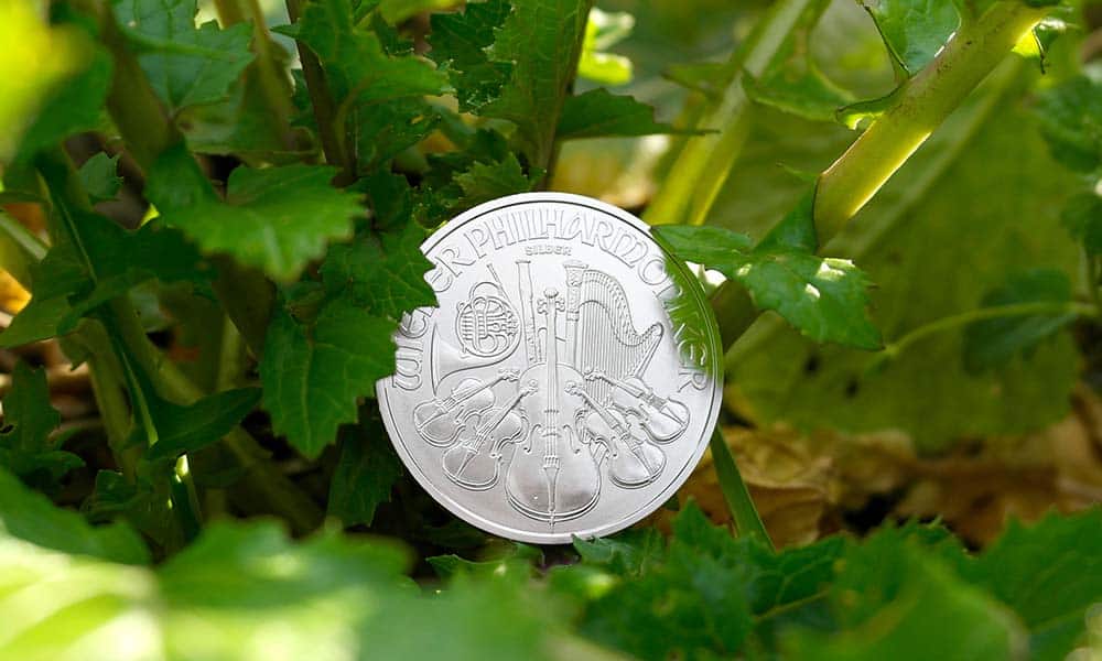 Investing in Silver, Options and Products