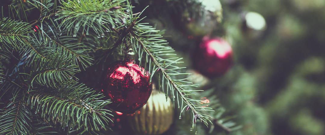 Bleyer’s Christmas Opening Times 2022