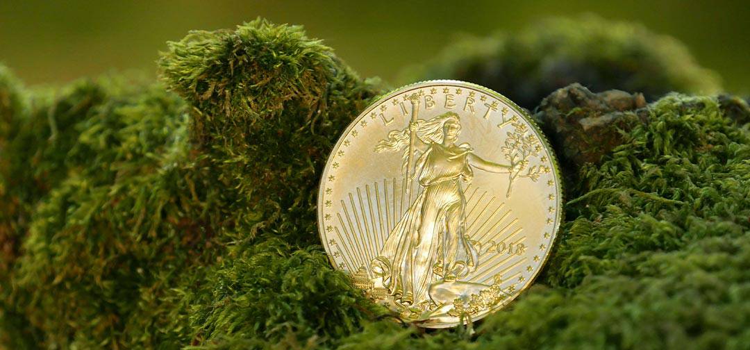 The American Eagle Gold Coin – All You Need to Know