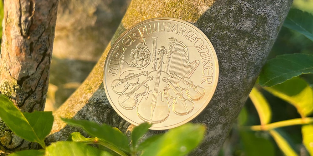 Is Gold the Ultimate Store of Wealth?