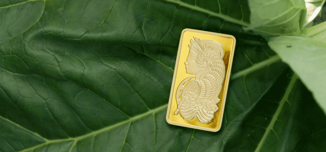 Refinery Guide: All About PAMP