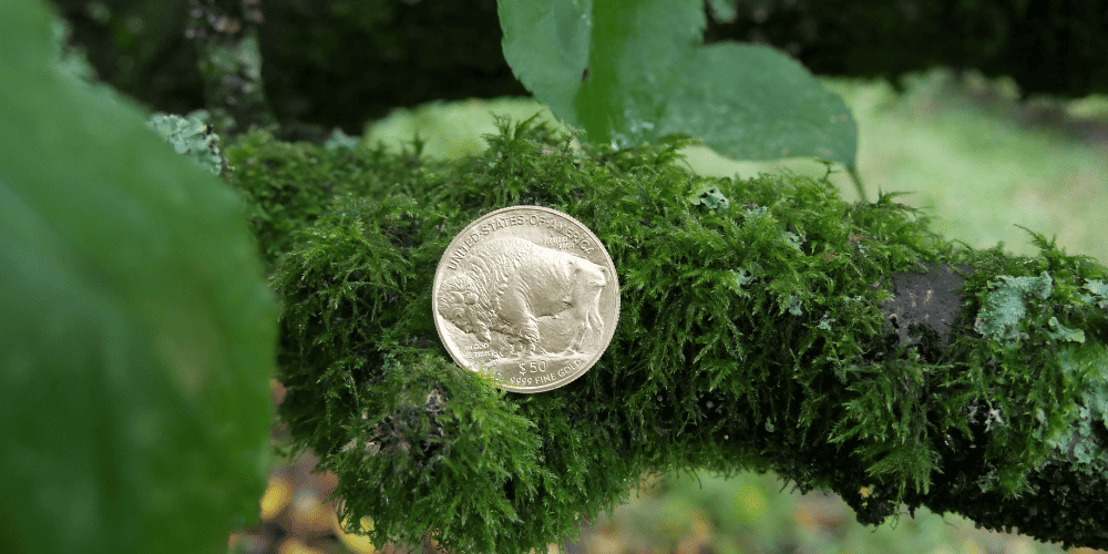 Buying Bullion Online
