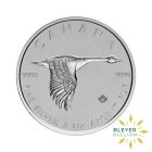 Silver Canadian Goose