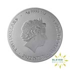 Silver Bitcoin