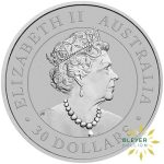 1kg Silver Australian Koala Coin (Margin Scheme) - 2016