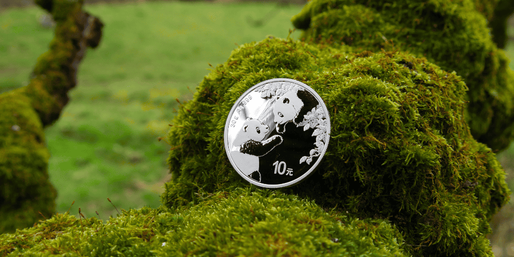 silver investment