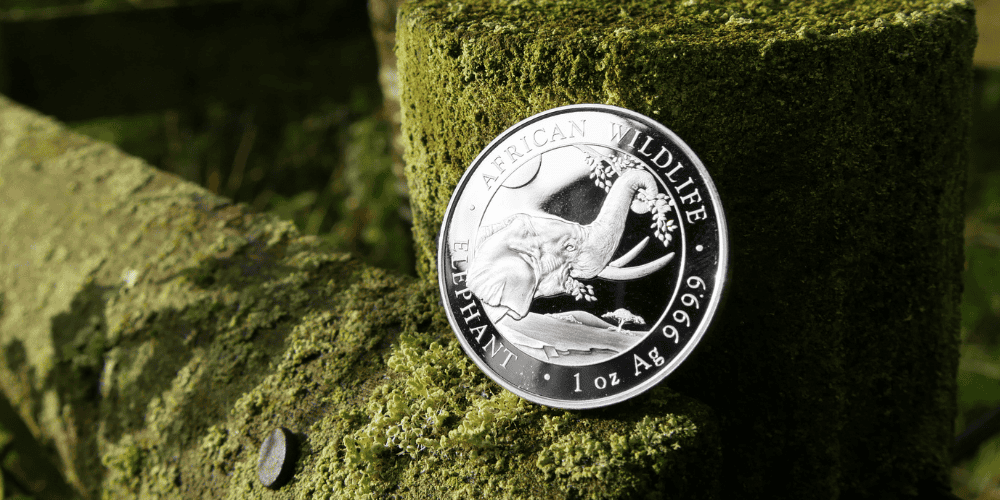 Invest in Precious Metals