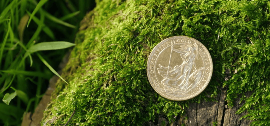 Gold: A Timeless Symbol of Prosperity and Wealth