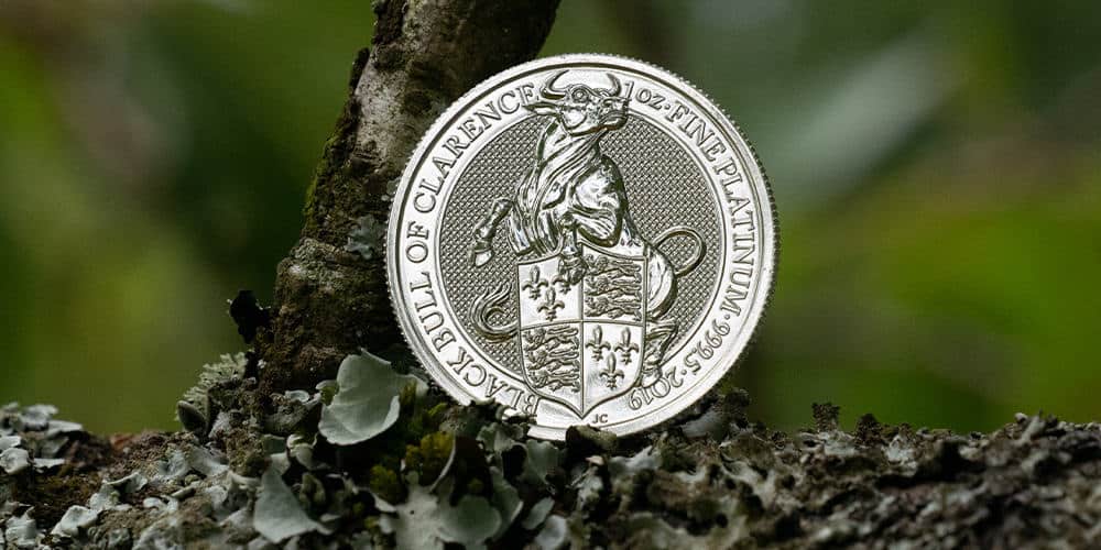 Platinum Future Investment