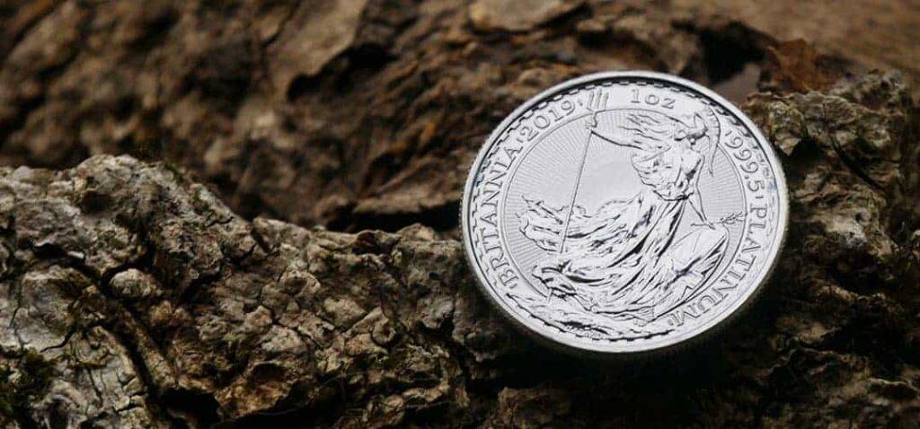 Platinum Future Investment