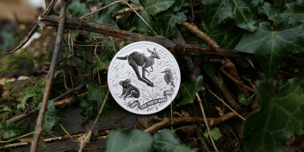 Silver Coin Investment