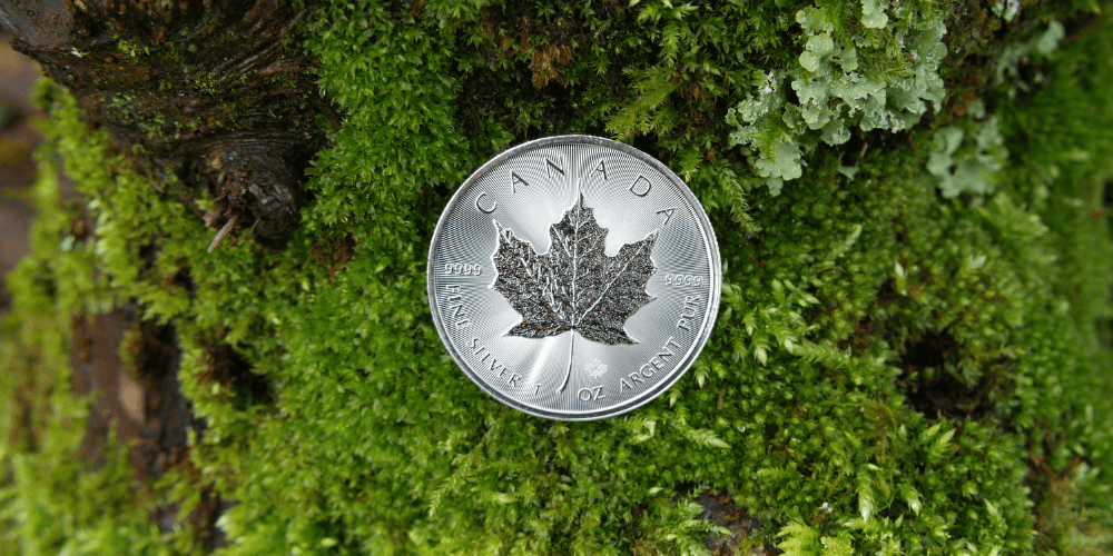 Silver Coin Investment