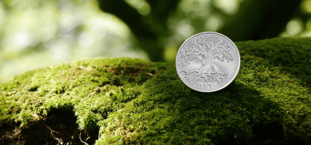 Building Long-Term Wealth with Precious Metals