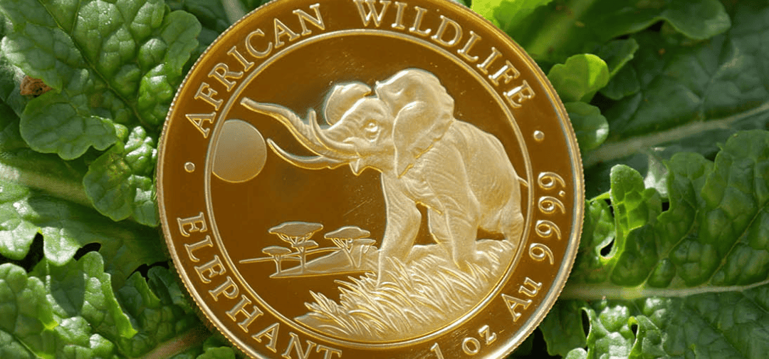 Why Gold & Silver Have Been Wealth Preservers for Centuries
