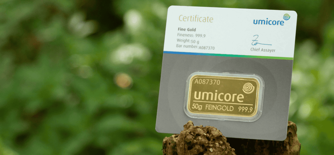 Investing £50,000 into a Gold SIPP Pension: A Bleyer Success Story