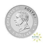 1oz Kangaroo Silver Coin 2026 Obverse