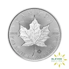 1oz Canadian Maple Double Incuse Silver Coin Reverse