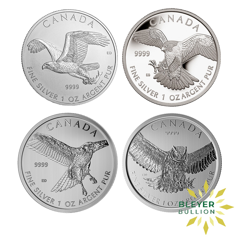 Canadian Birds of Prey
